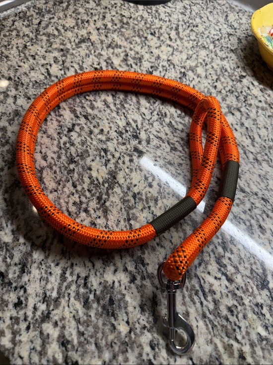 Other - Bright Orange Rope Dog Leash with Metal Snap